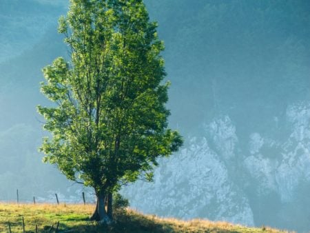 100 Vlog Ideas for Your Website